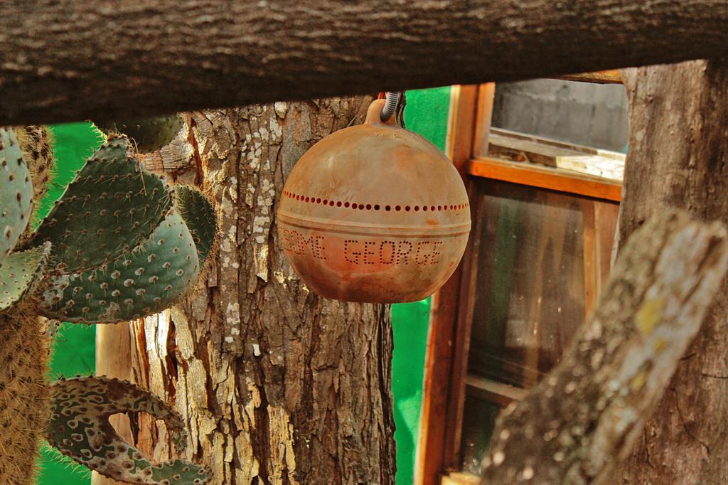 Lonesome George Ecolodge Puerto Ayora  Exterior foto
