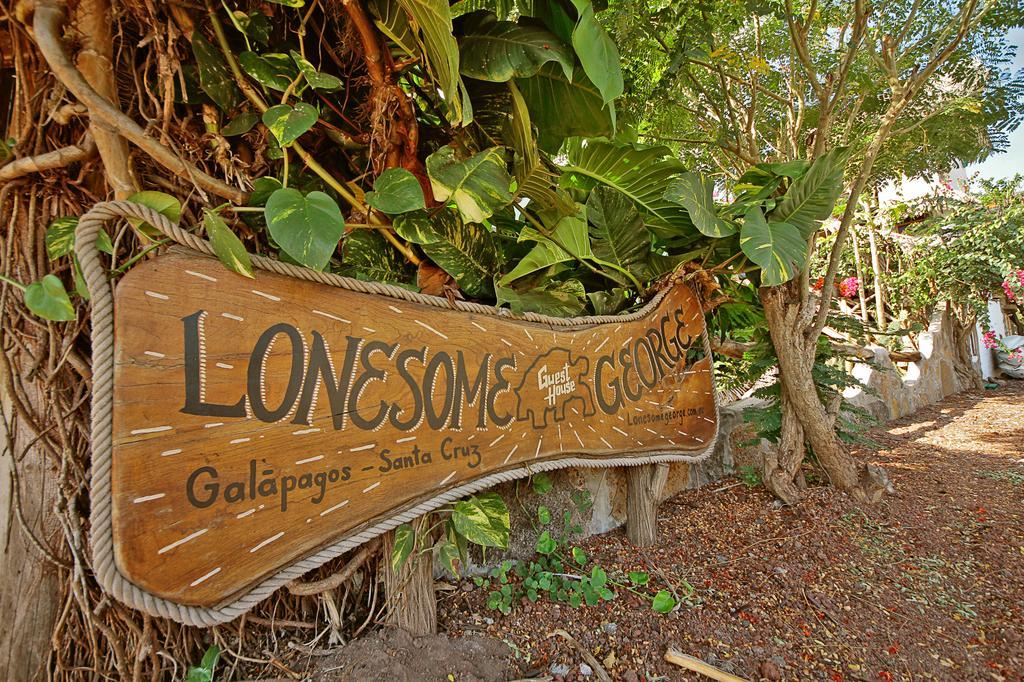 Lonesome George Ecolodge Puerto Ayora  Exterior foto