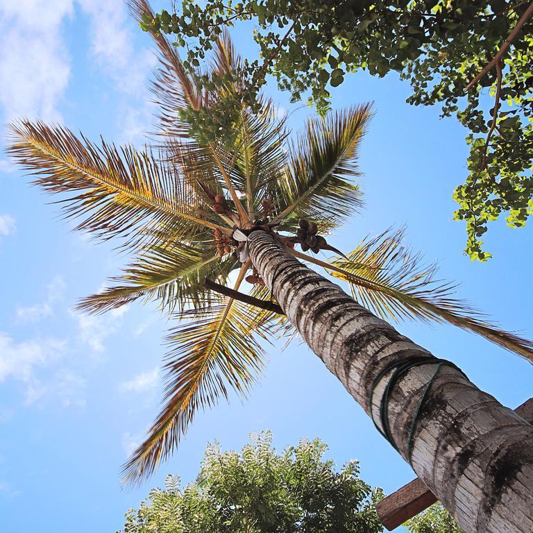 Lonesome George Ecolodge Puerto Ayora  Exterior foto