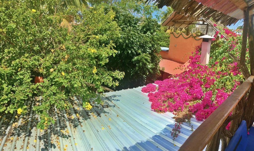 Lonesome George Ecolodge Puerto Ayora  Exterior foto